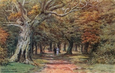Queens Bower bei Brockenhurst von Alfred Robert Quinton